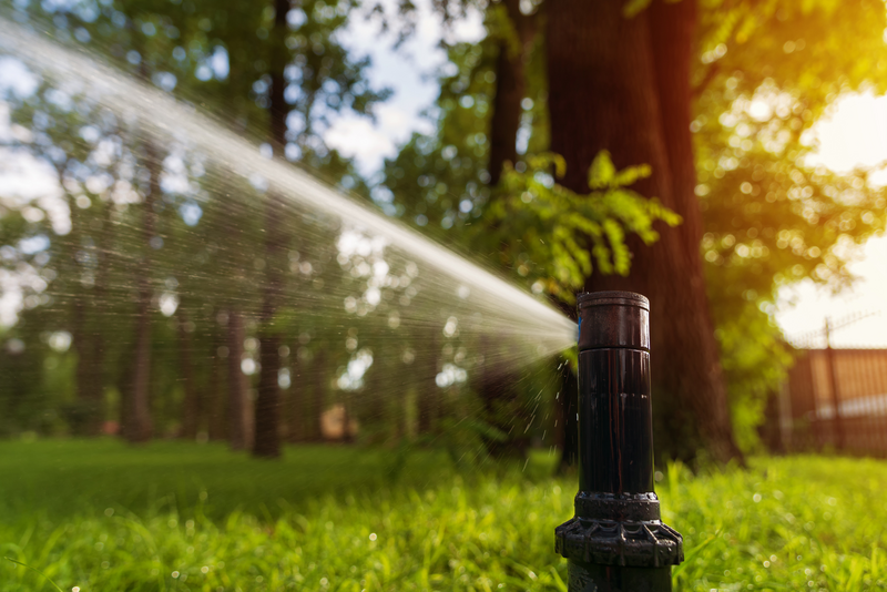Automatic sprinkler system watering the lawn at sunrise. Close-up. Gardening and law care.