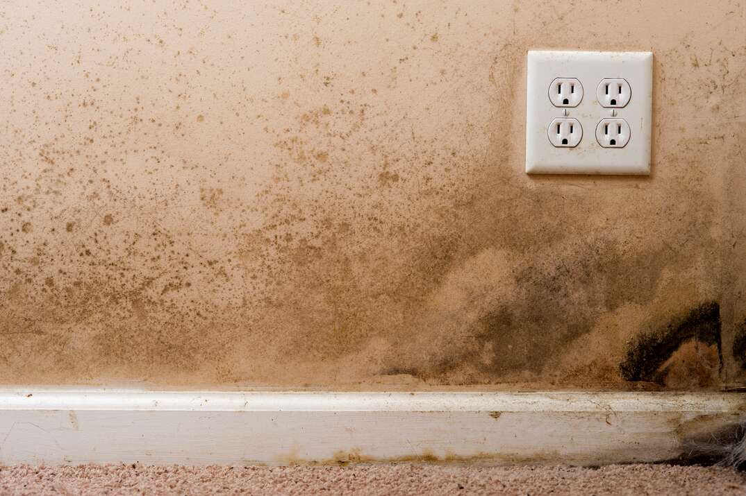 Close-up shot showing black mold growing on a wall in a home 