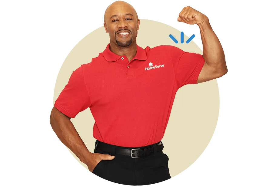 Spark9 HomeServe Muscle Tech